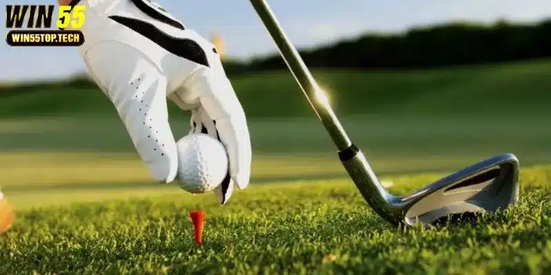 WIN55 có da dng kèo Golf