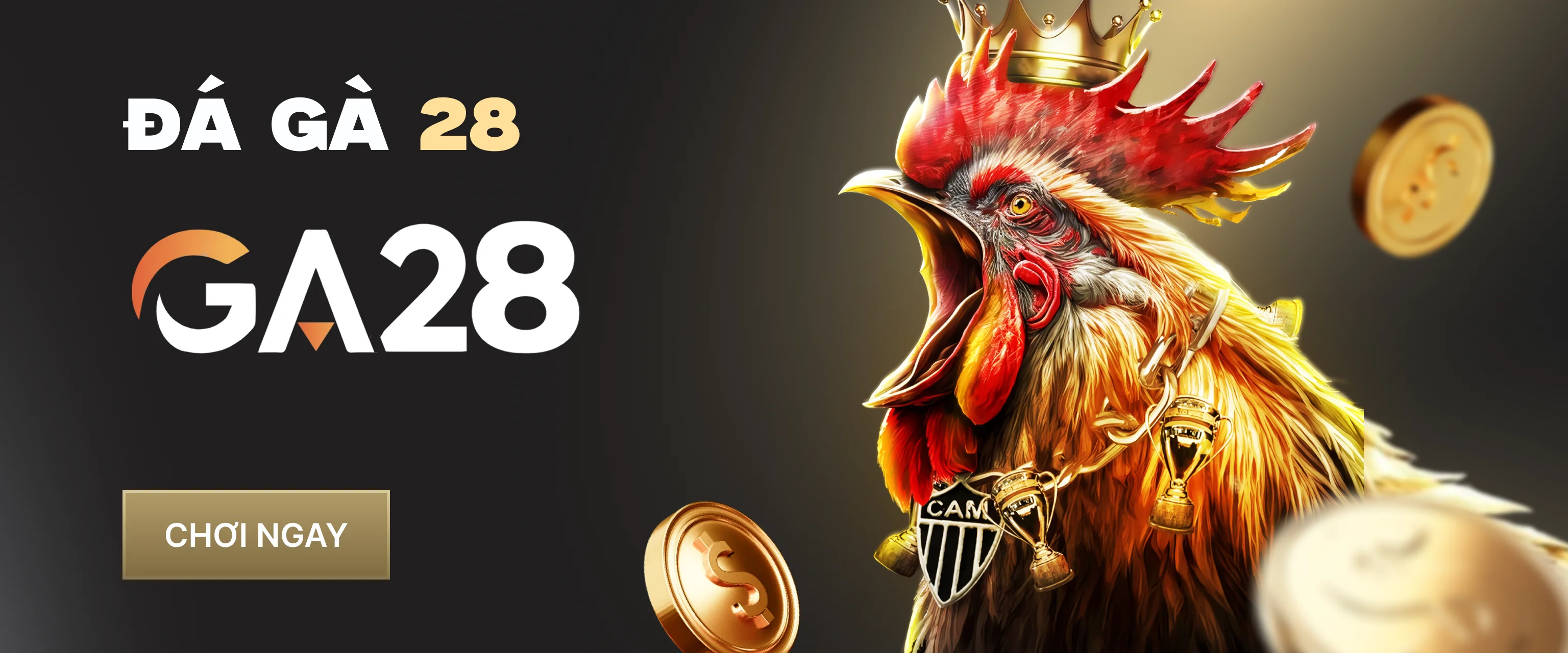 Đá Gà 28