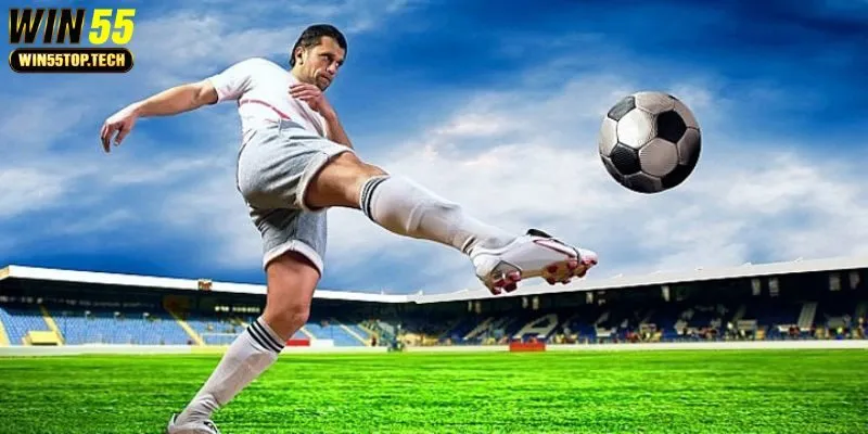 L'y do dá bóng dc da vào làm b m^on cá cc