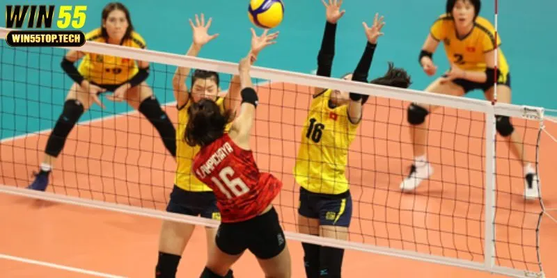 Nhng v trí quan trng ca b m^on